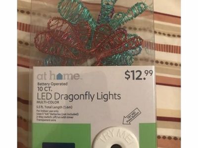New Dragonfly String Light Set