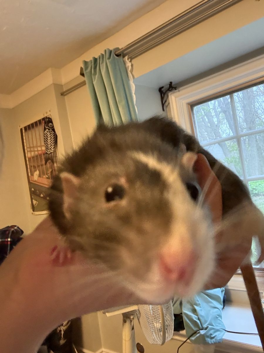 Main image 3