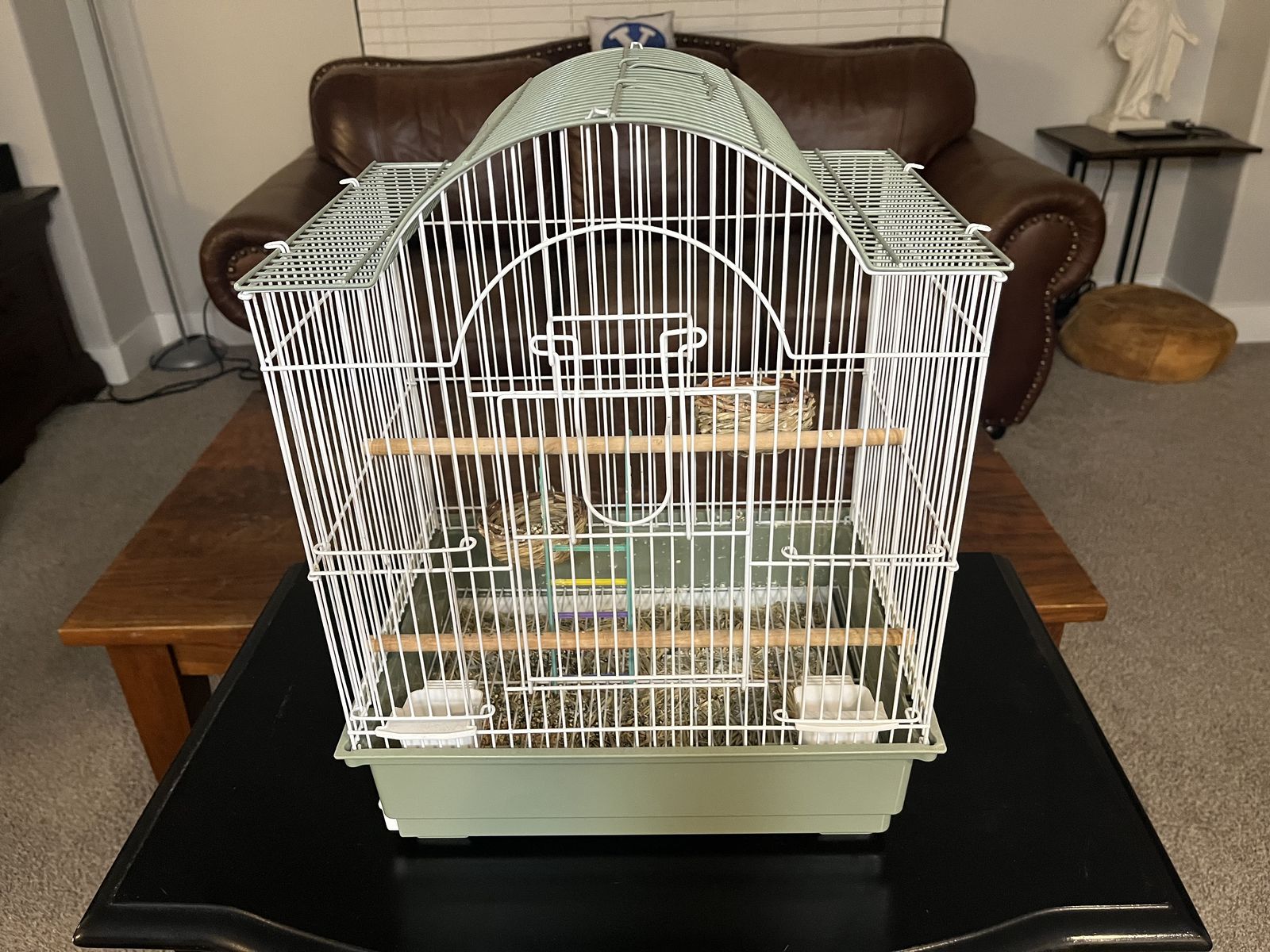 Bird Cage