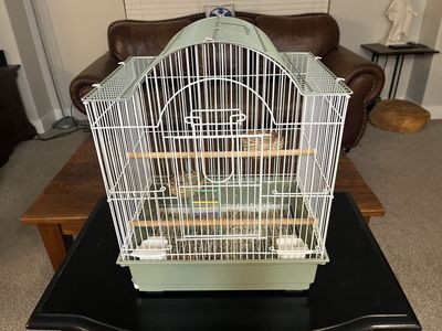 Bird Cage
