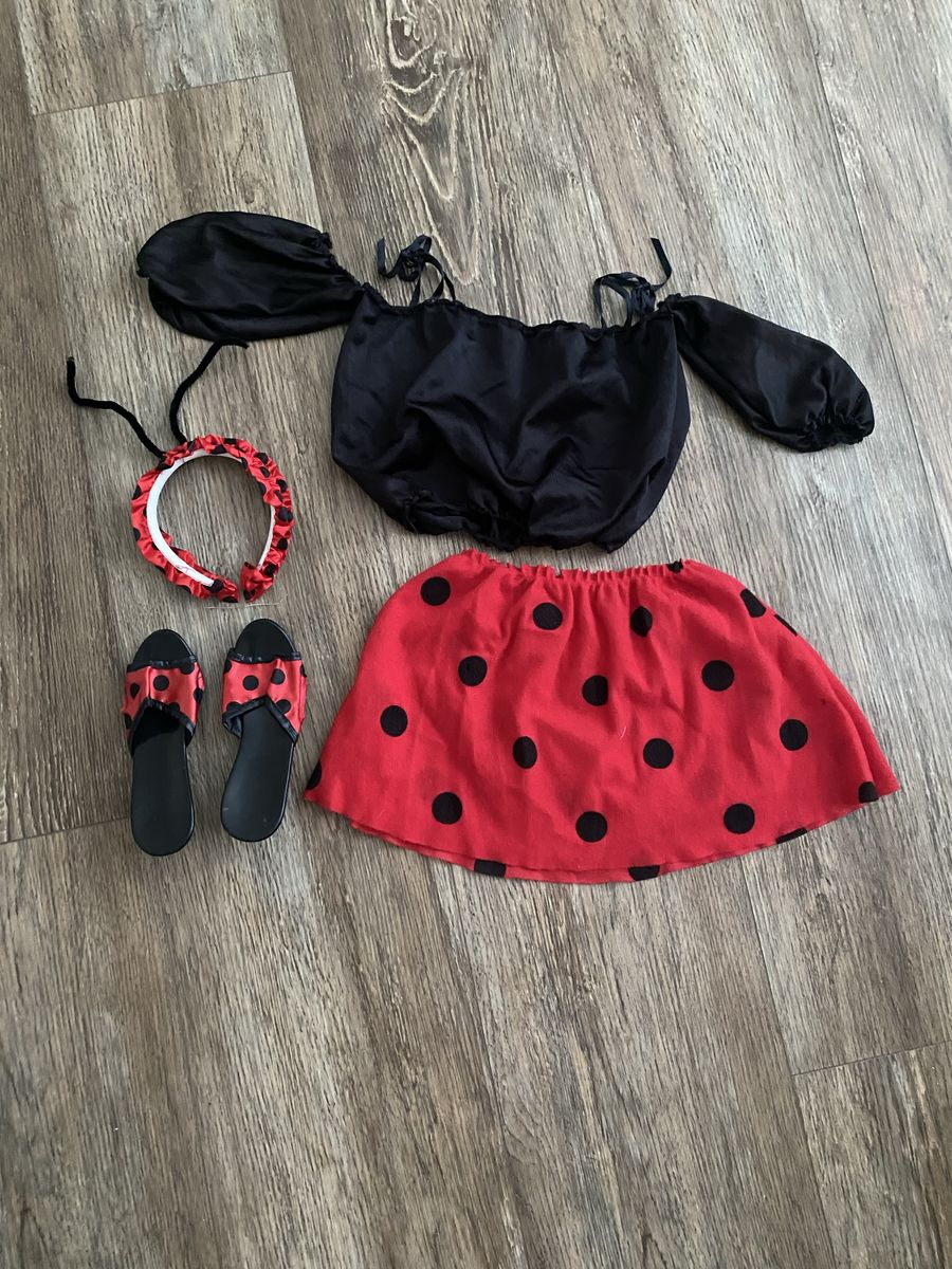 Kids / Toddler  Ladybug Halloween Costume 