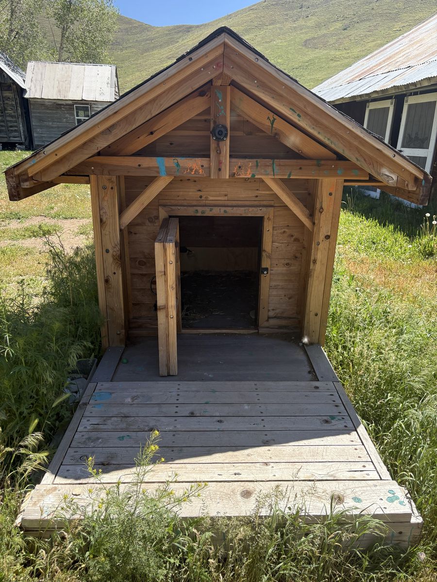 Dog House