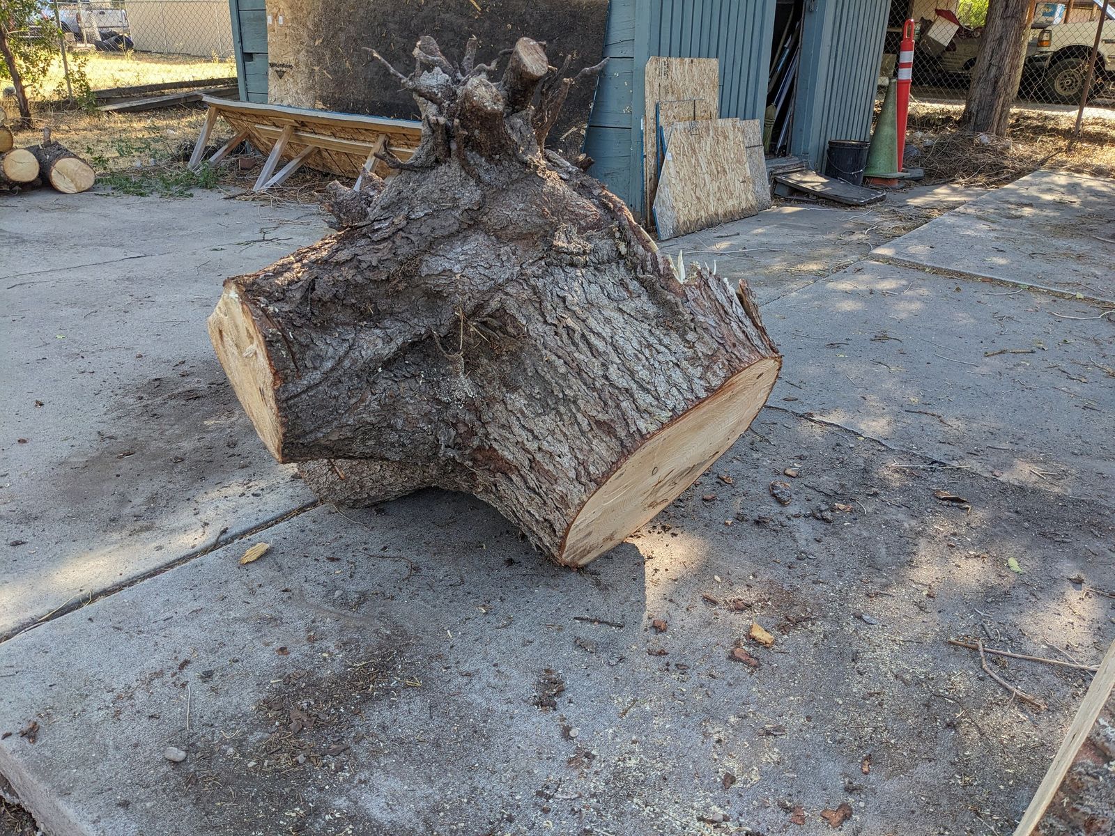 Main image 4