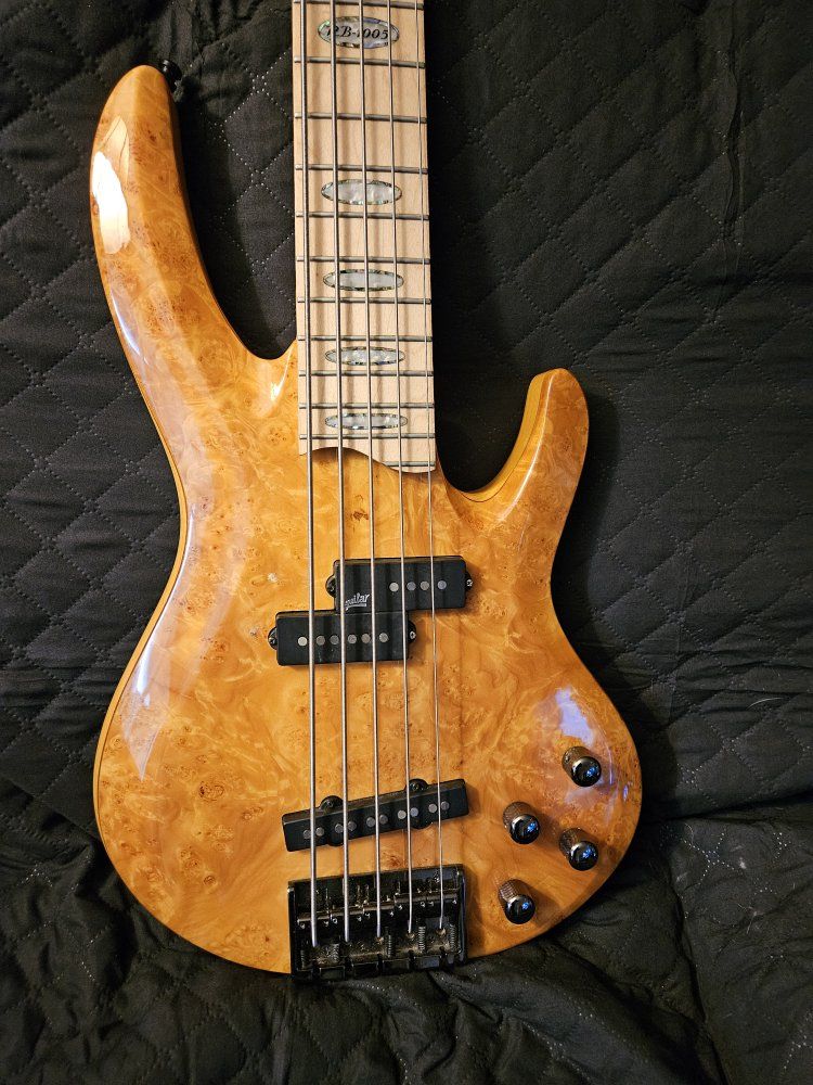 ESP LTD Rocco Prestia RB1005 5 string bass