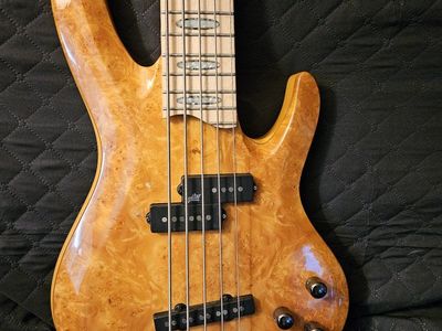 ESP LTD Rocco Prestia RB1005 5 string bass
