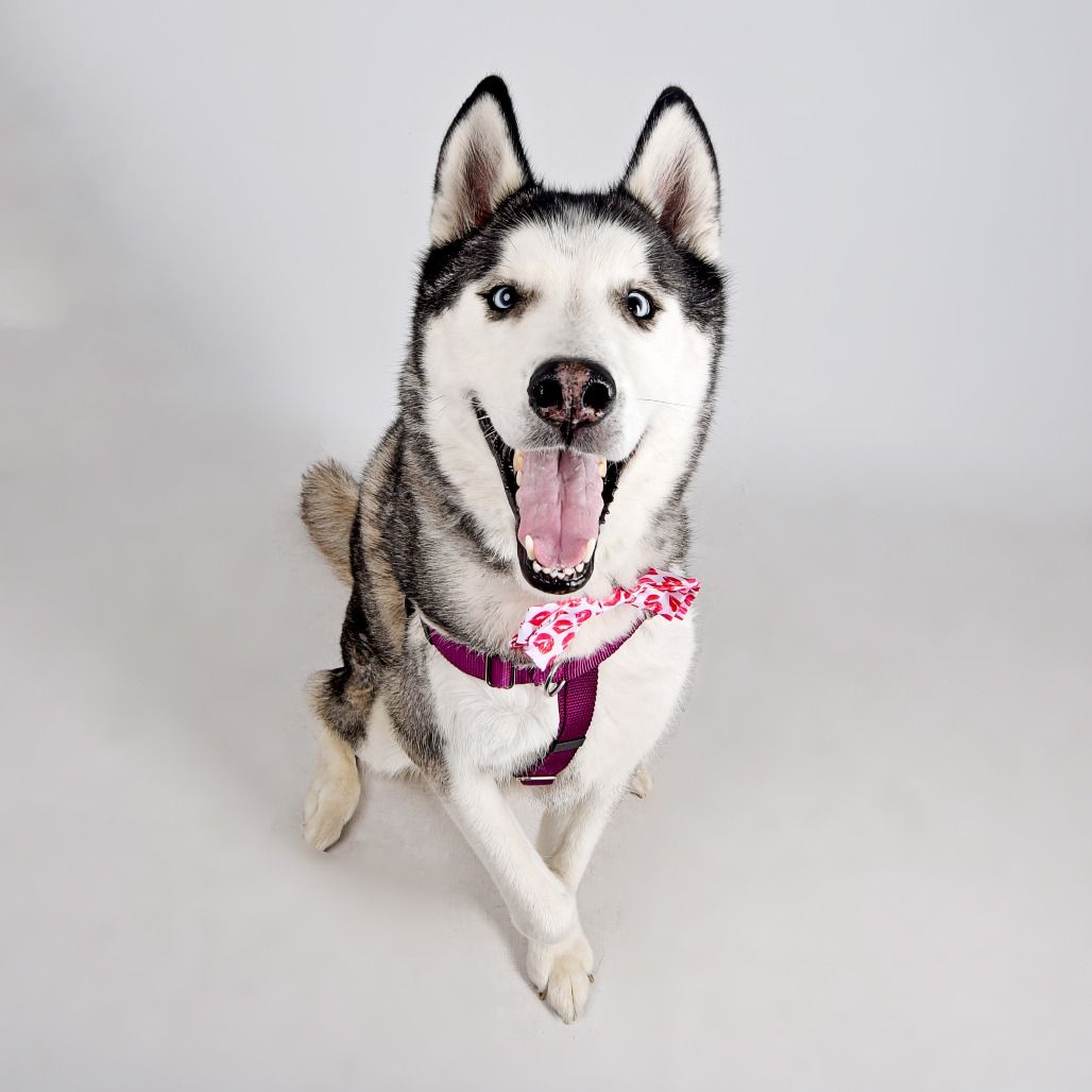 Hello my name is Neo