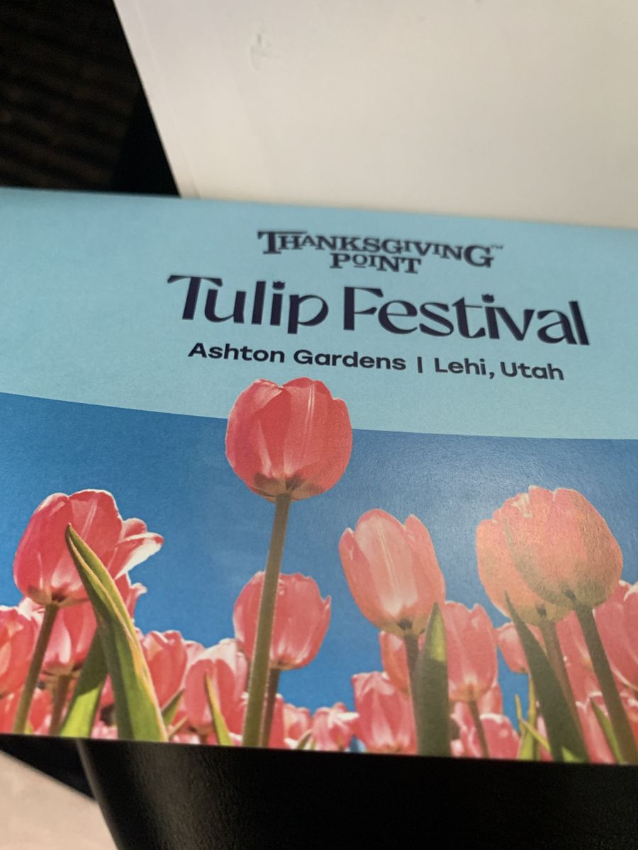Tulip Featival