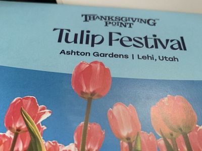 Tulip Featival