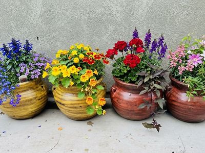 Mexican Clay Planter Pots