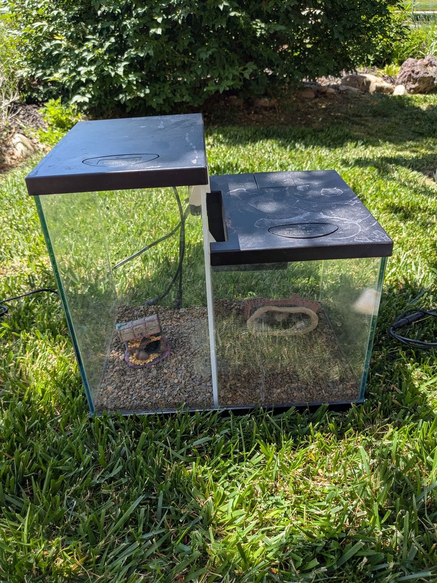 3-Gallon split fish tank