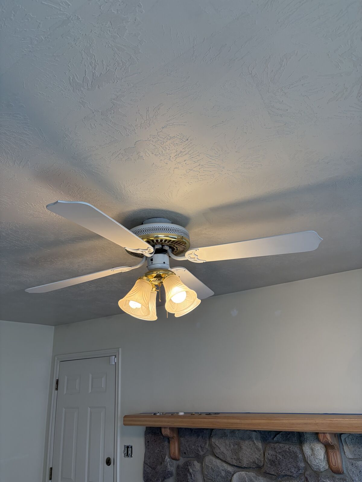 Ceiling Fan and Light Fixture