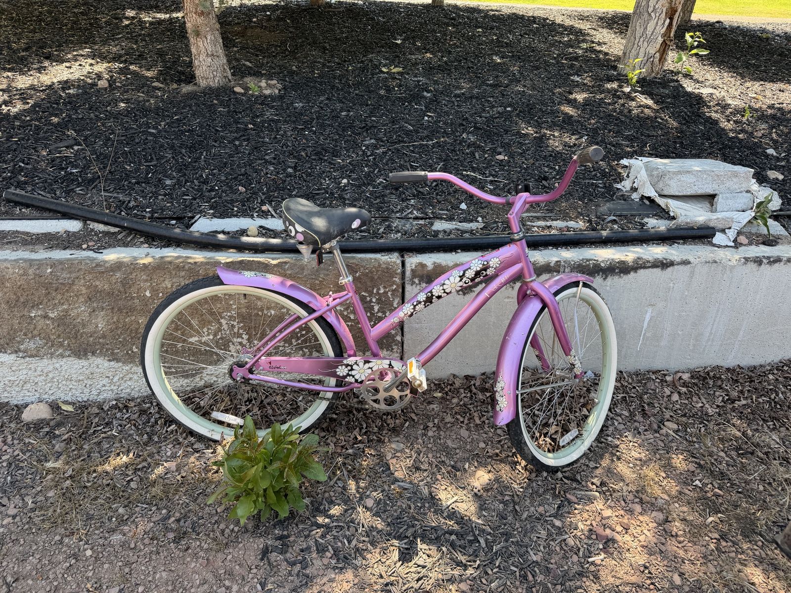 Beach cruiser