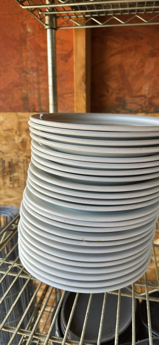 Ovensafe Restaurant Ironstone Dinner Plates