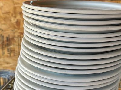 Ovensafe Restaurant Ironstone Dinner Plates