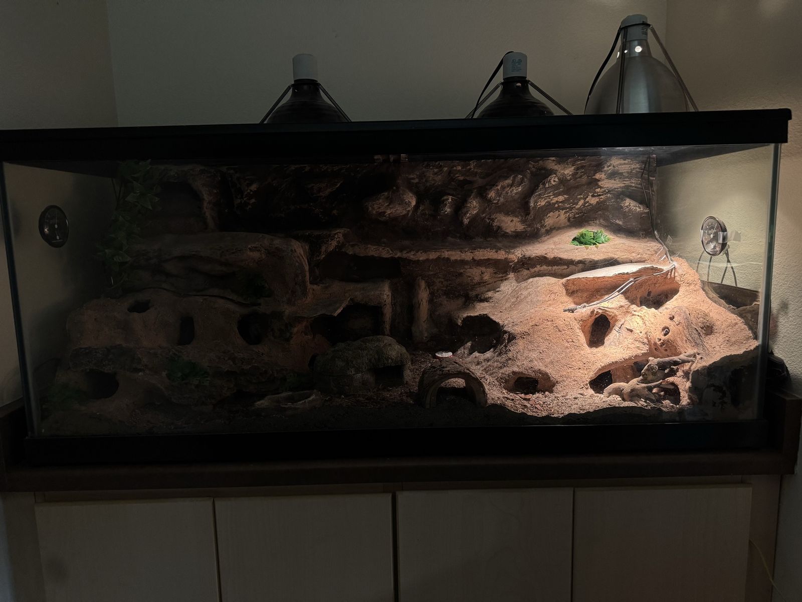 Main image 4