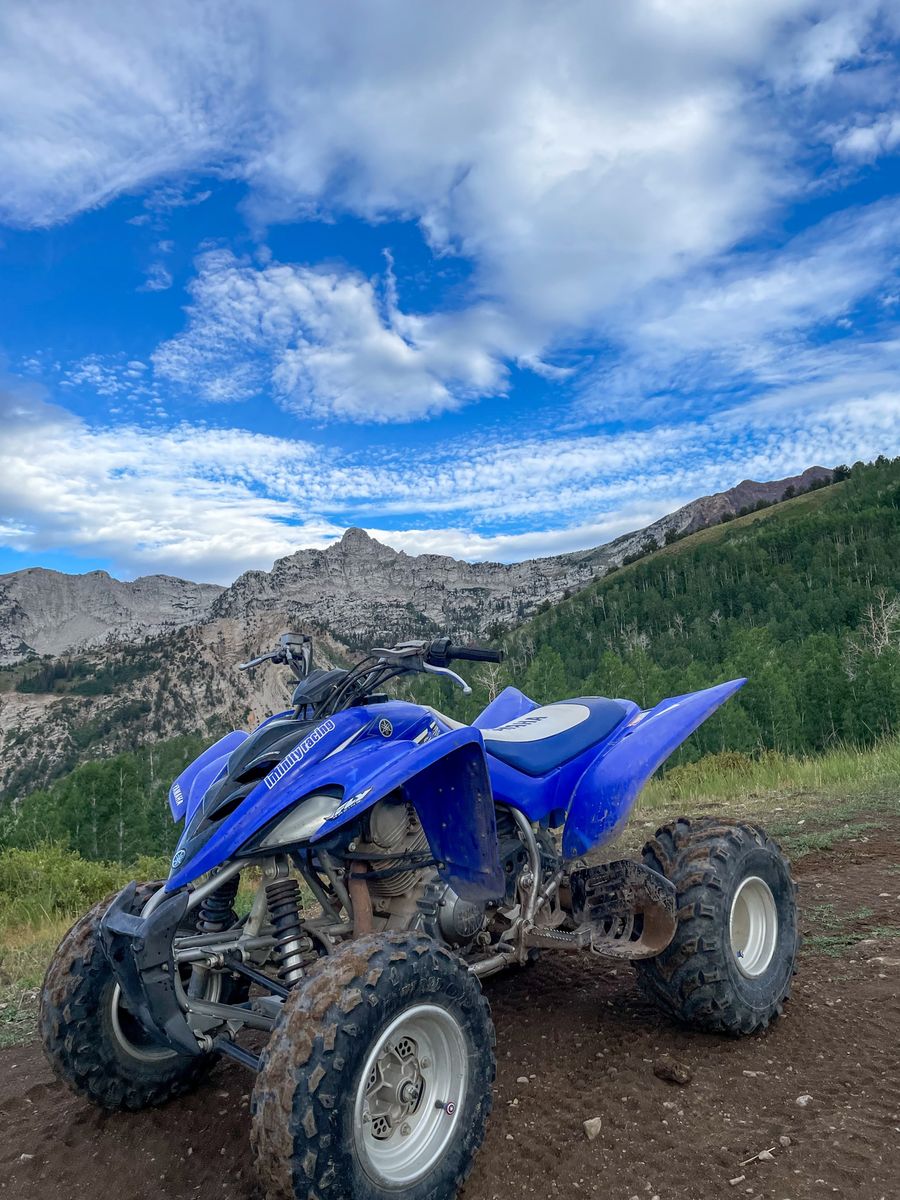 Yamaha Raptor YFM350 ATV Blue Sport Quad