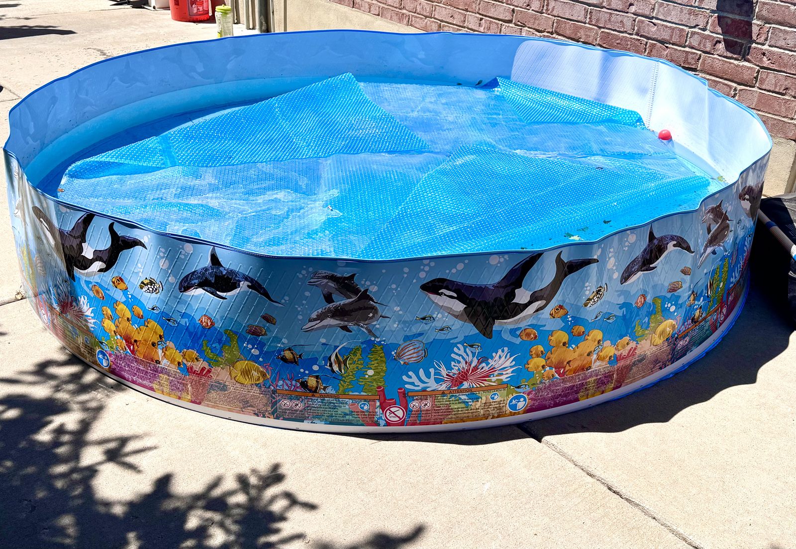 Intex Deep Sea Blue 8 Feet x 18 Inch SnapSet Instant Round Plastic Swimming Kiddie Pool