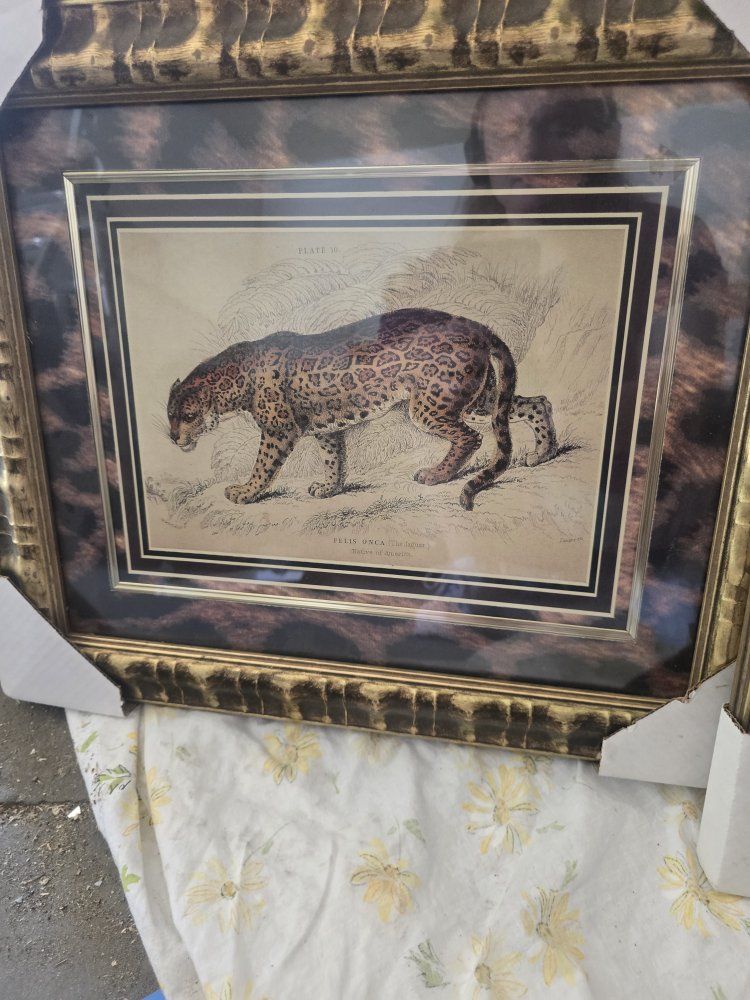 The Jaguar and the ocelot painting