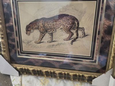 The Jaguar and the ocelot painting