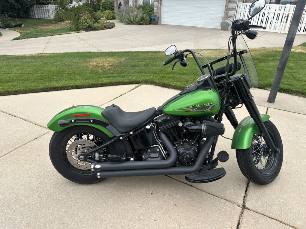 2015 Softail Slim