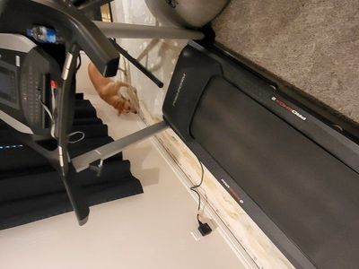proform Tredmill