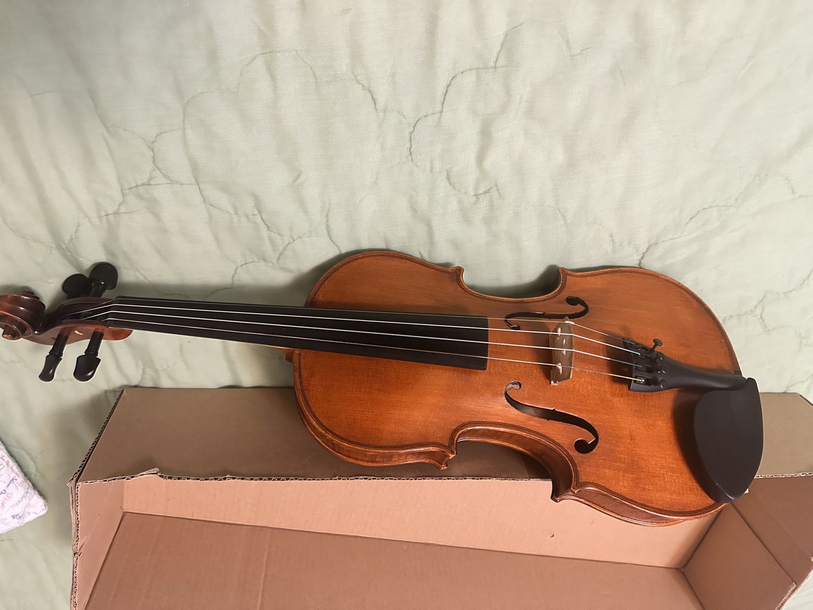 Violin