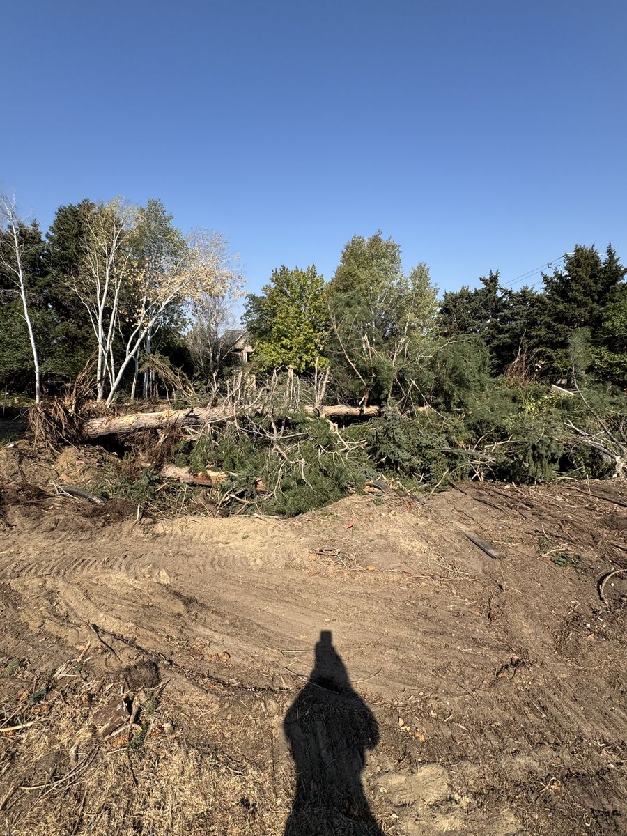 Maple & Pine Firewood  - Fresh Cut Pepperwood/Sandy