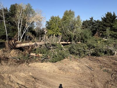 Maple & Pine Firewood - Fresh Cut Pepperwood/Sandy