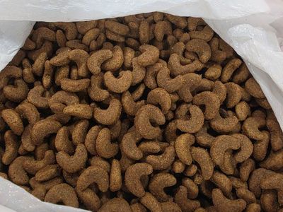 Dog Food Royal Canine Adult French Bulldog food