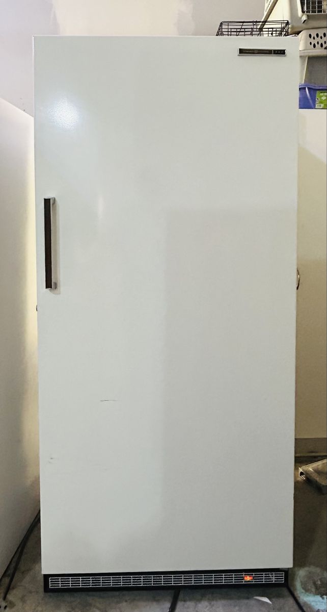 21 cubic foot freezer