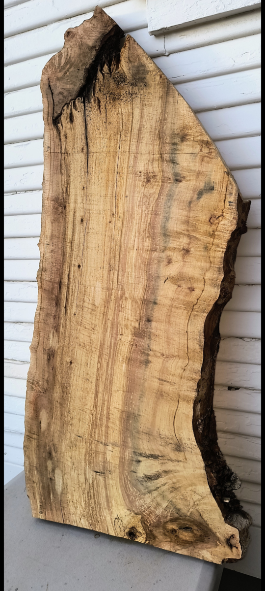 Maple Wood slab