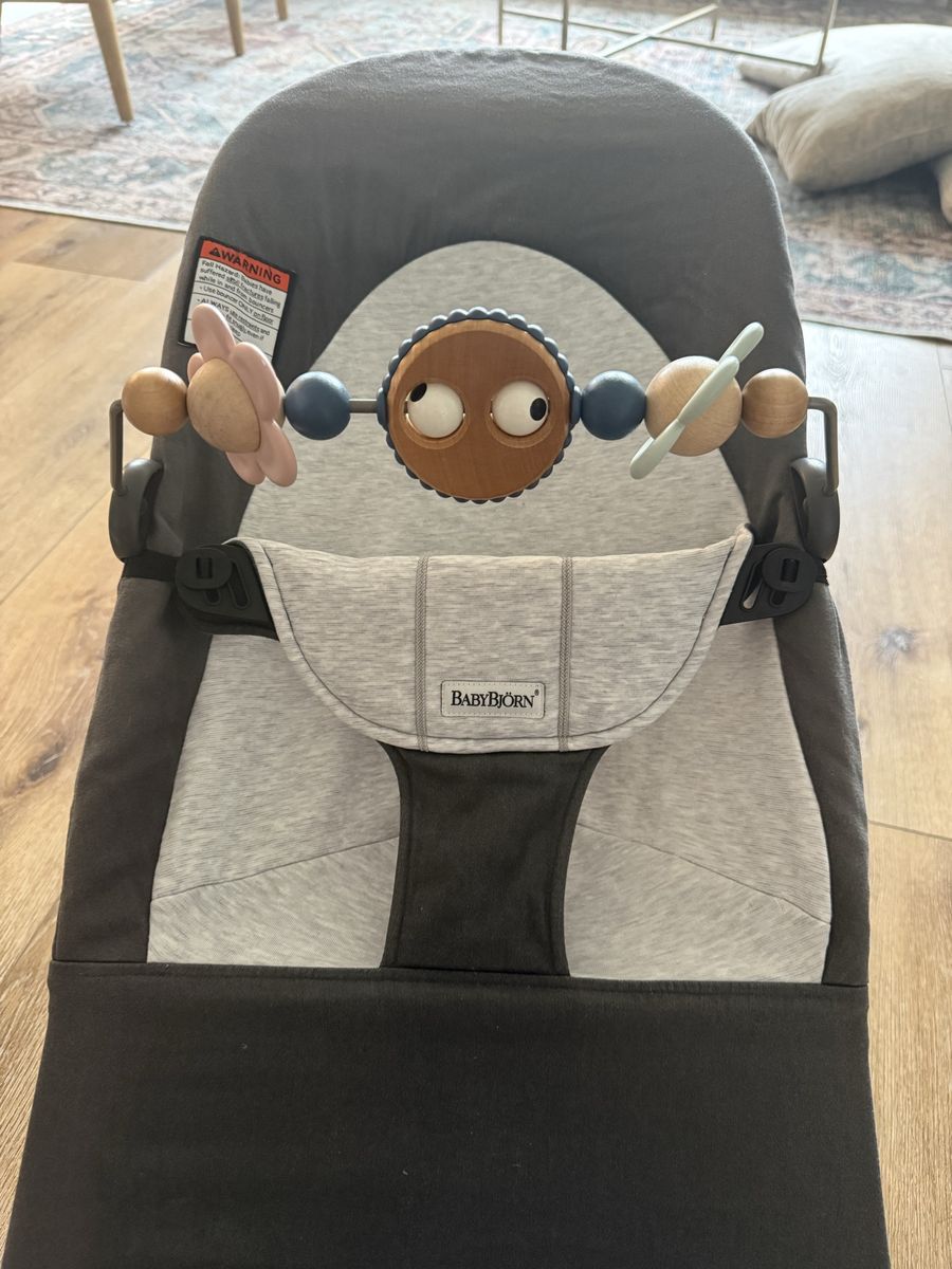 Baby Bjorn Bouncer & Wooden Toy Bar, Like New
