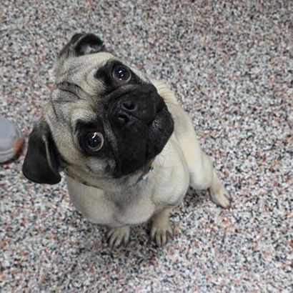 Hello my name is Tommy