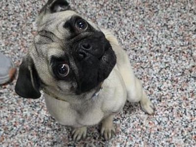 Hello my name is Tommy