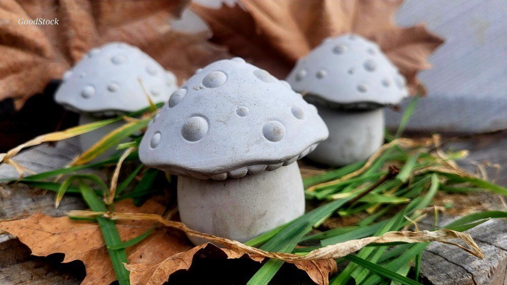 Mushrooms ( ・・`) concrete, garden