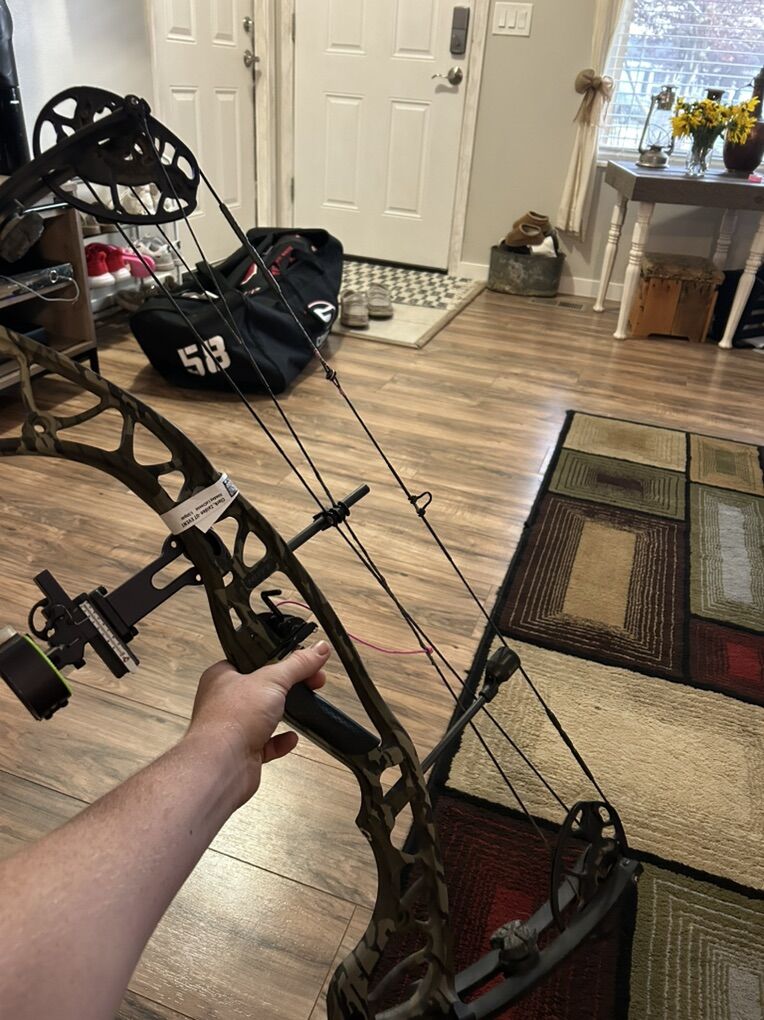 Hoyt Torex
