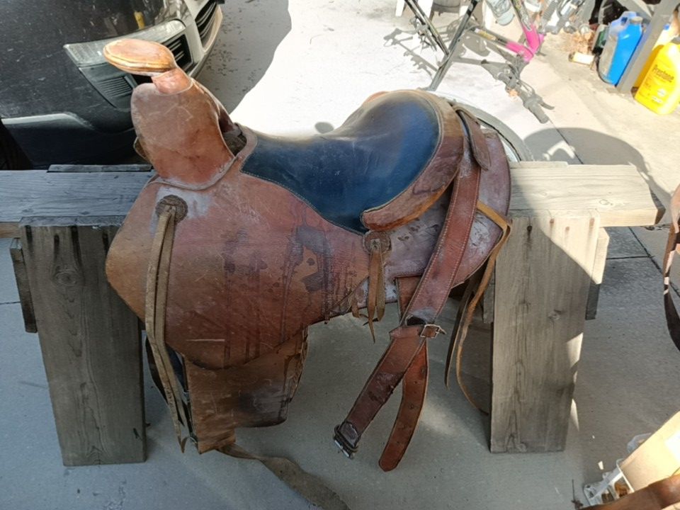 Fallis Saddle