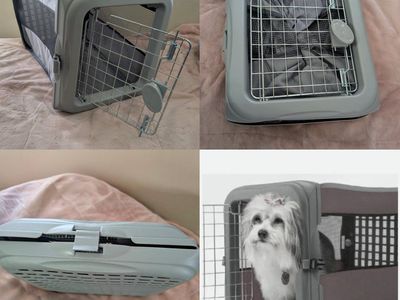 Pet Carrier for Small Dogs & Cats - Collapsible Travel Crate, Soft-Sided, Gray