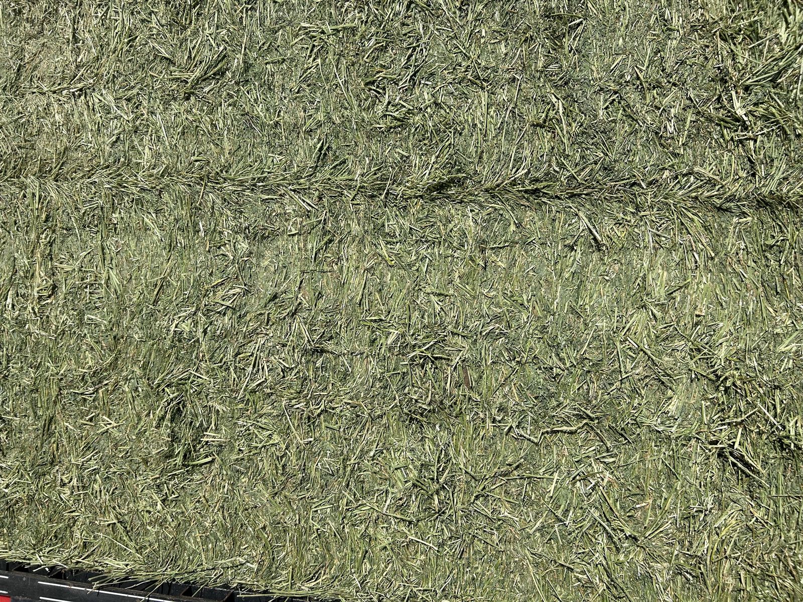 3x3 Alfalfa Hay