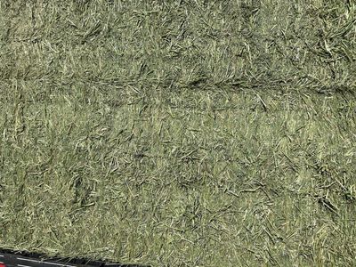 3x3 Alfalfa Hay