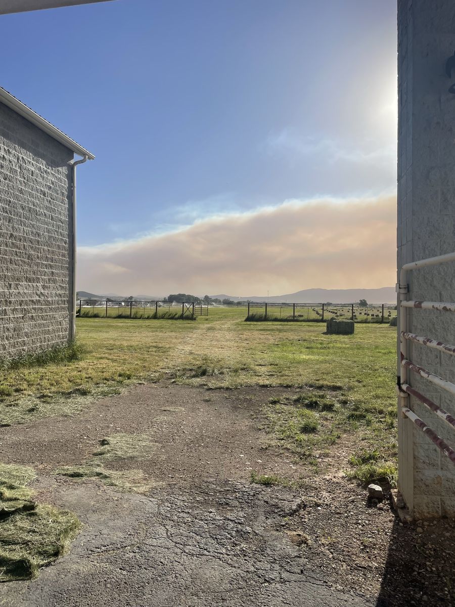 Main image 5