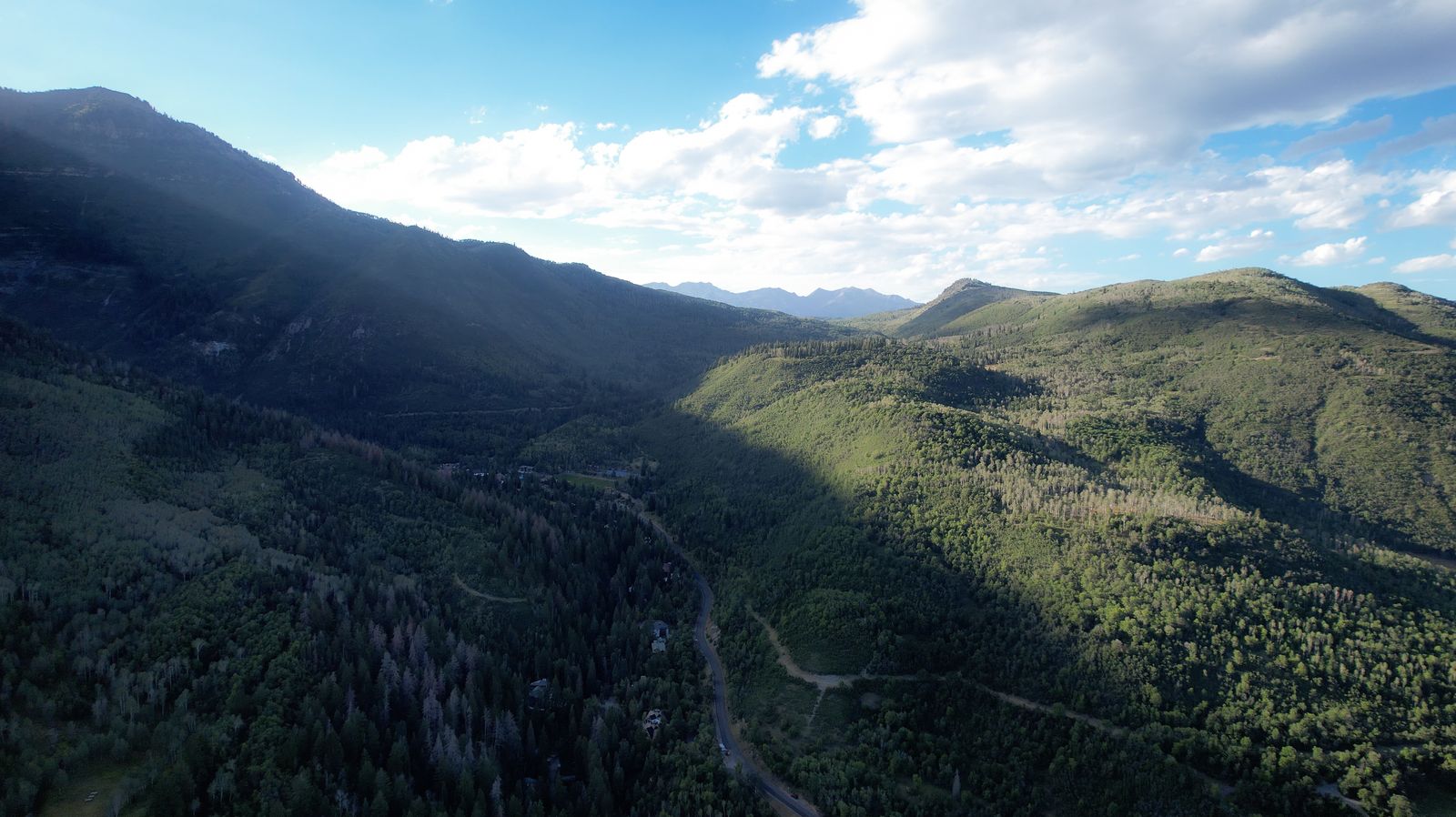 Main image 10