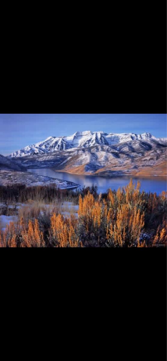 Looking to buy Ranch/ground