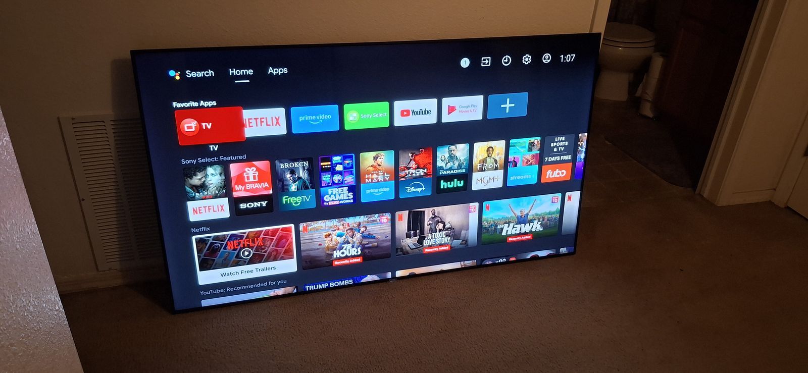 Sony 65" Smart Television