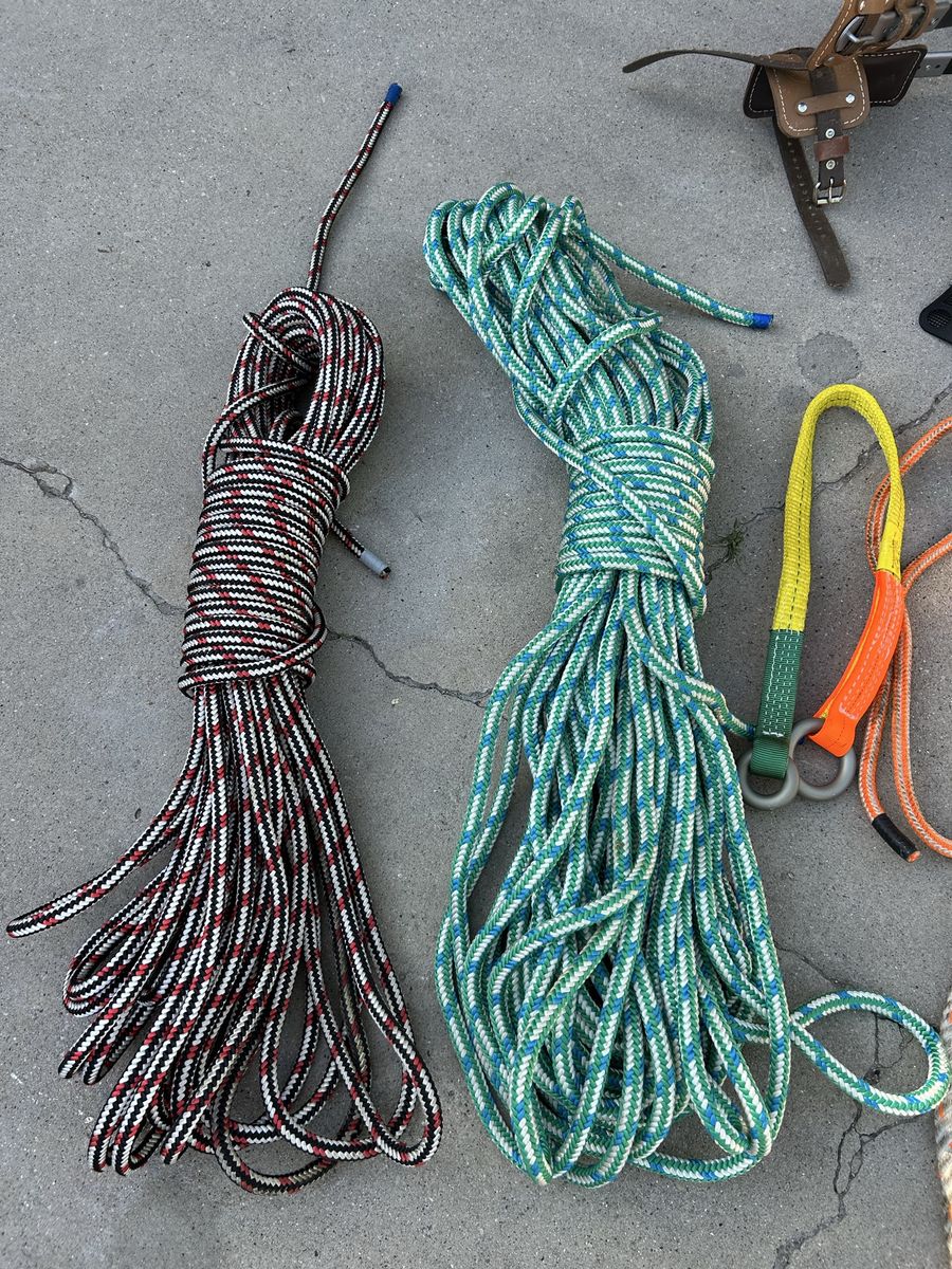 Arborists tree climbing gear