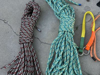Arborists tree climbing gear