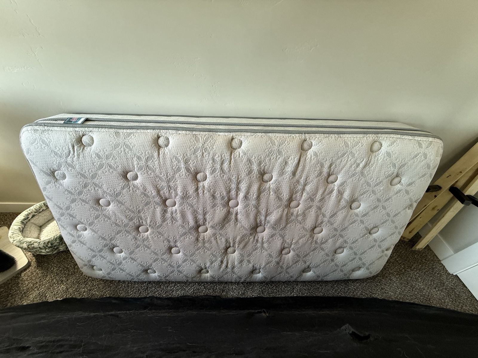 Main image 3