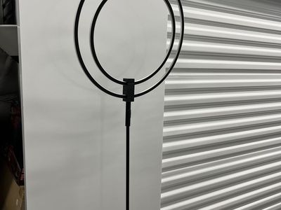 Modern Dimmable Double Ring Black Floor Lamp