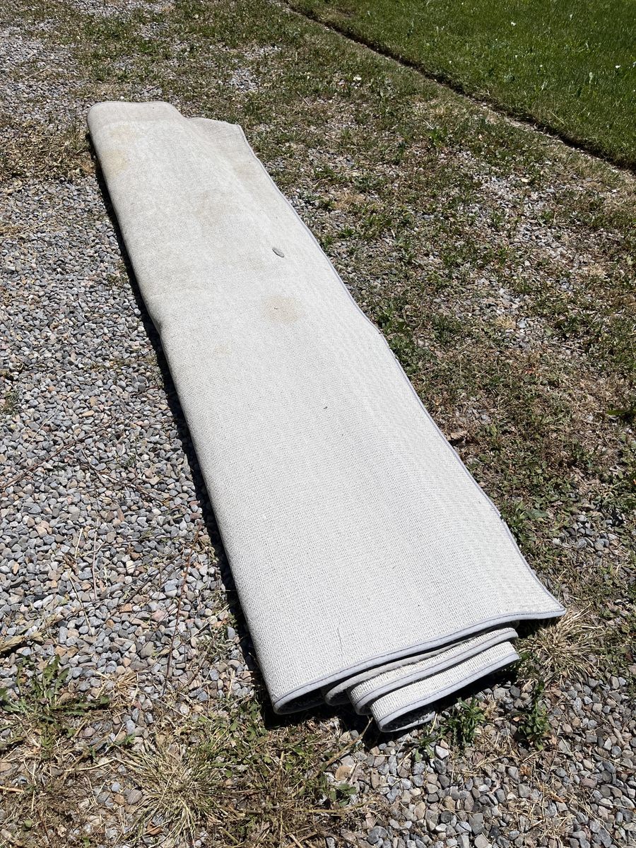 Carpet rug