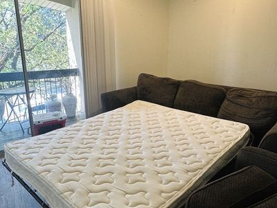 Hide-a-bed couch